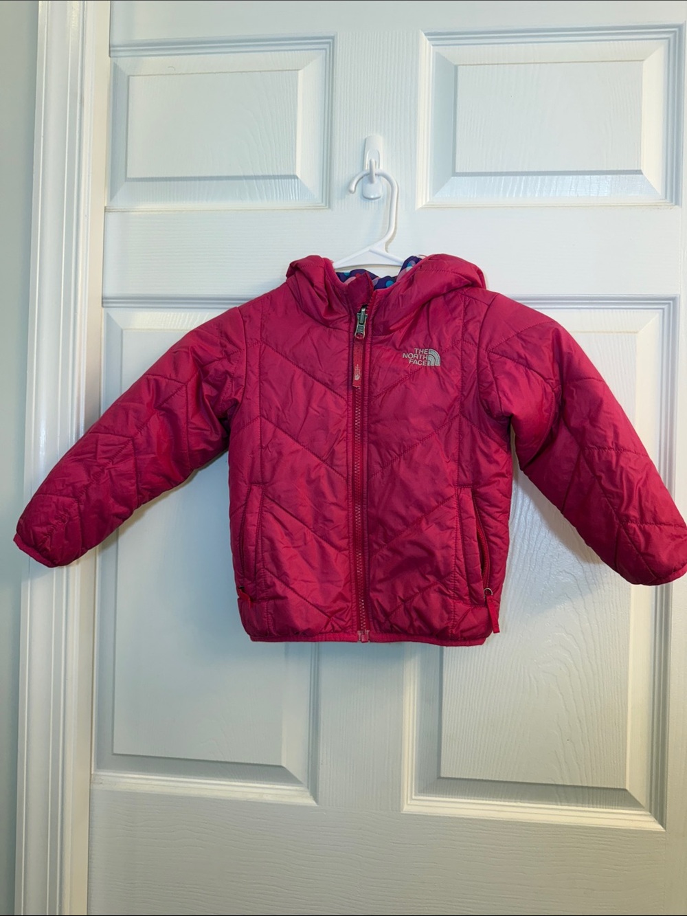 The North Face Kids Raspberry Hooded Insulated Jacket